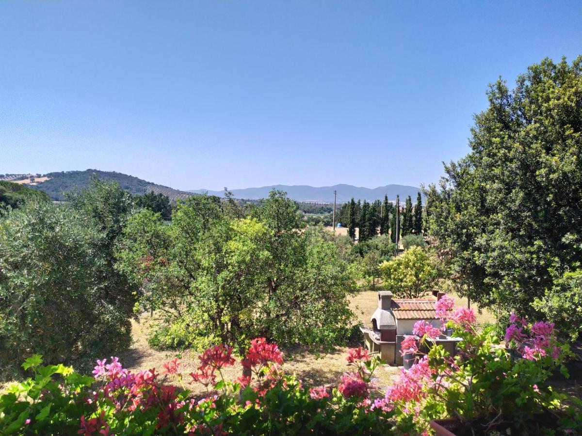 Agriturismo San Giorgino Гроссето Экстерьер фото